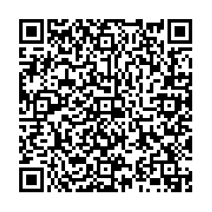 Check-in QR Code